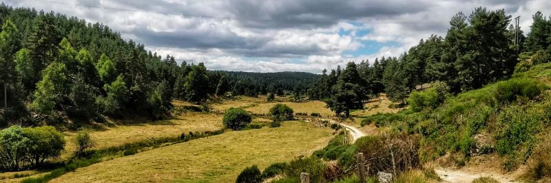 Feest van herkenning